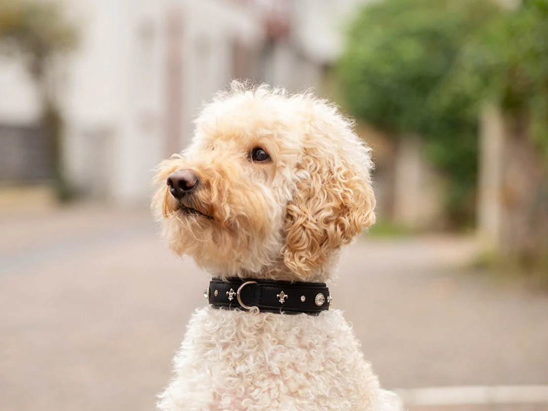 Produktbild 21
