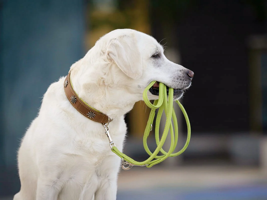 Produktbild 3