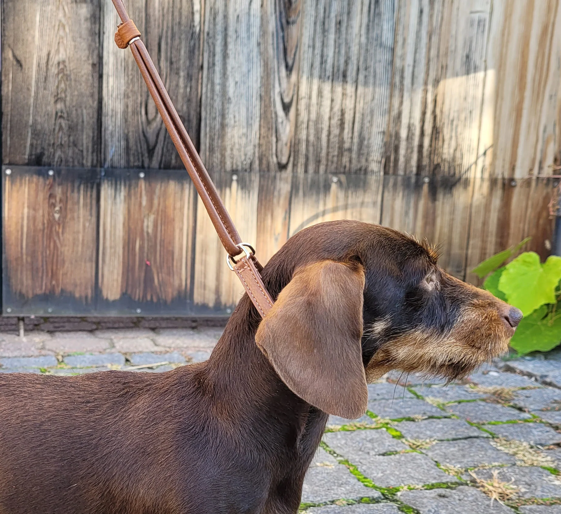 Vorschaubild 2