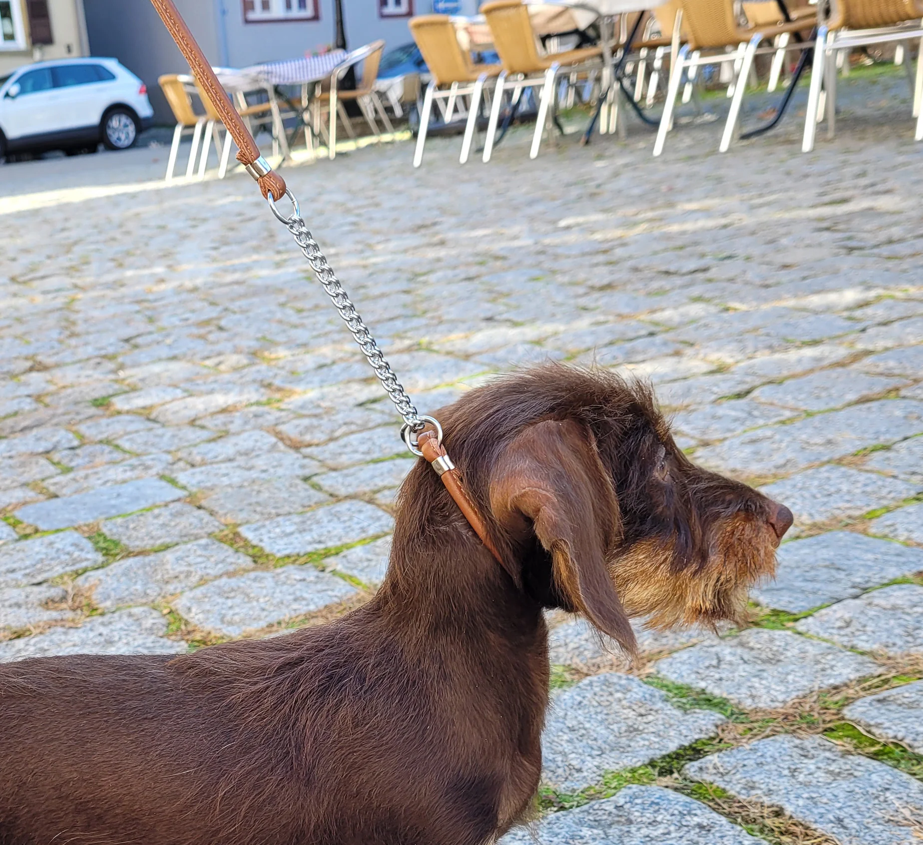 Vorschaubild 2